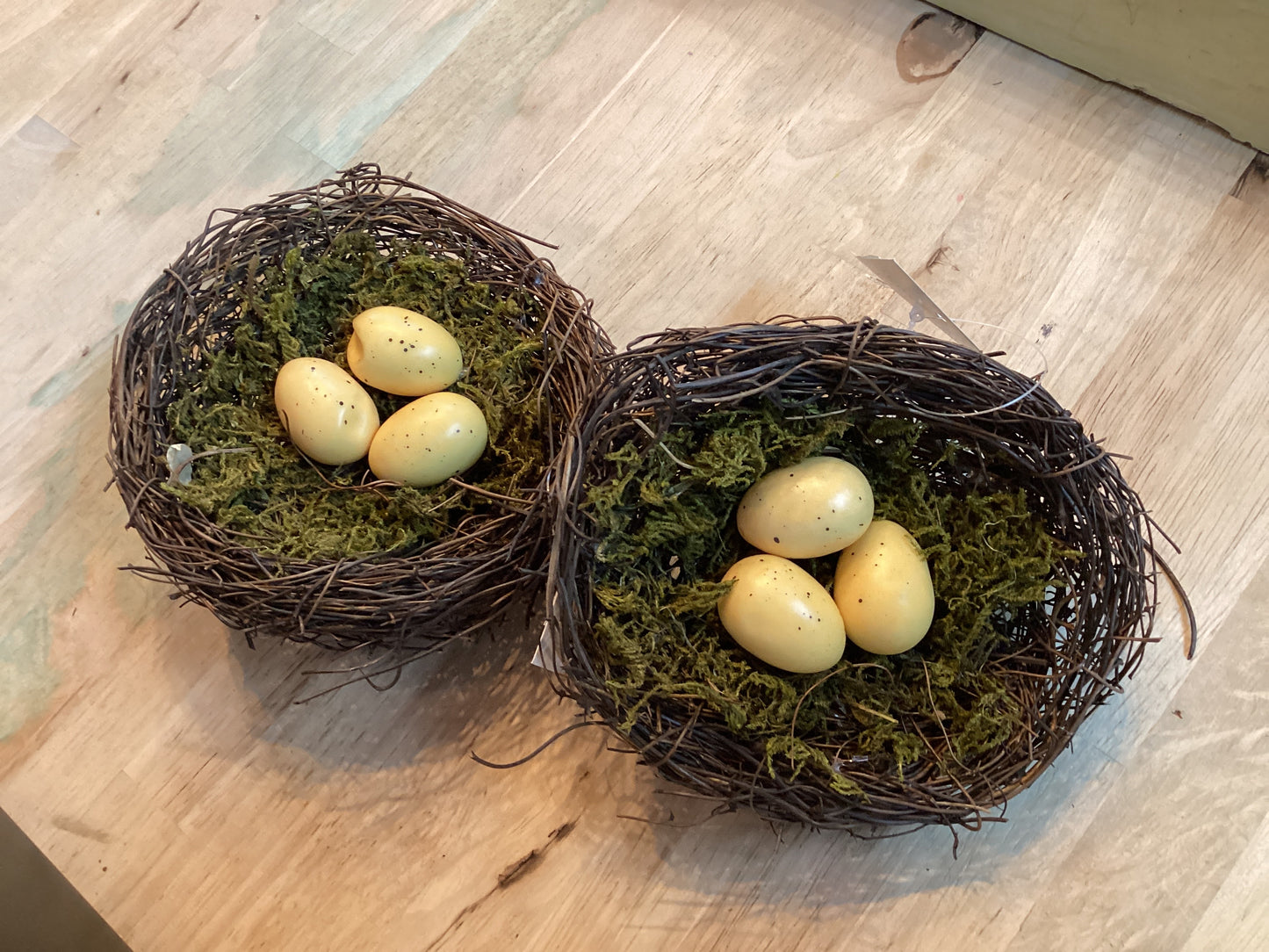 Moss and Vine Bird Nest w/Cream Eggs