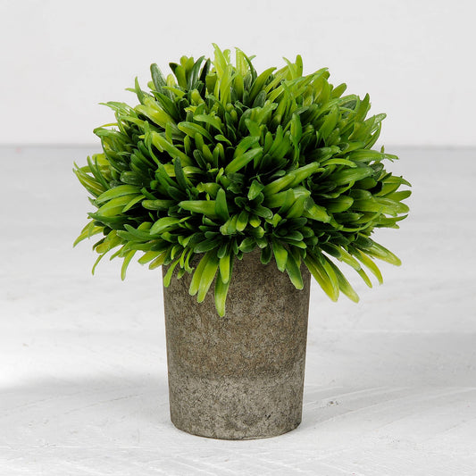Blossom Bucket & Crossroads Home - Grass In Gray Skinny Pot