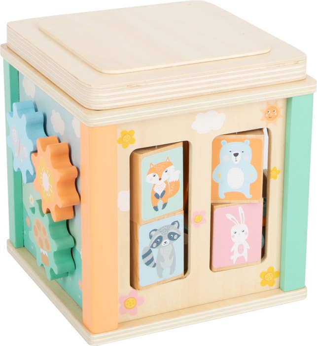 Hauck Toys - Small Foot Wooden Toys Pastel Motor Skills 5-in-1 Activity C