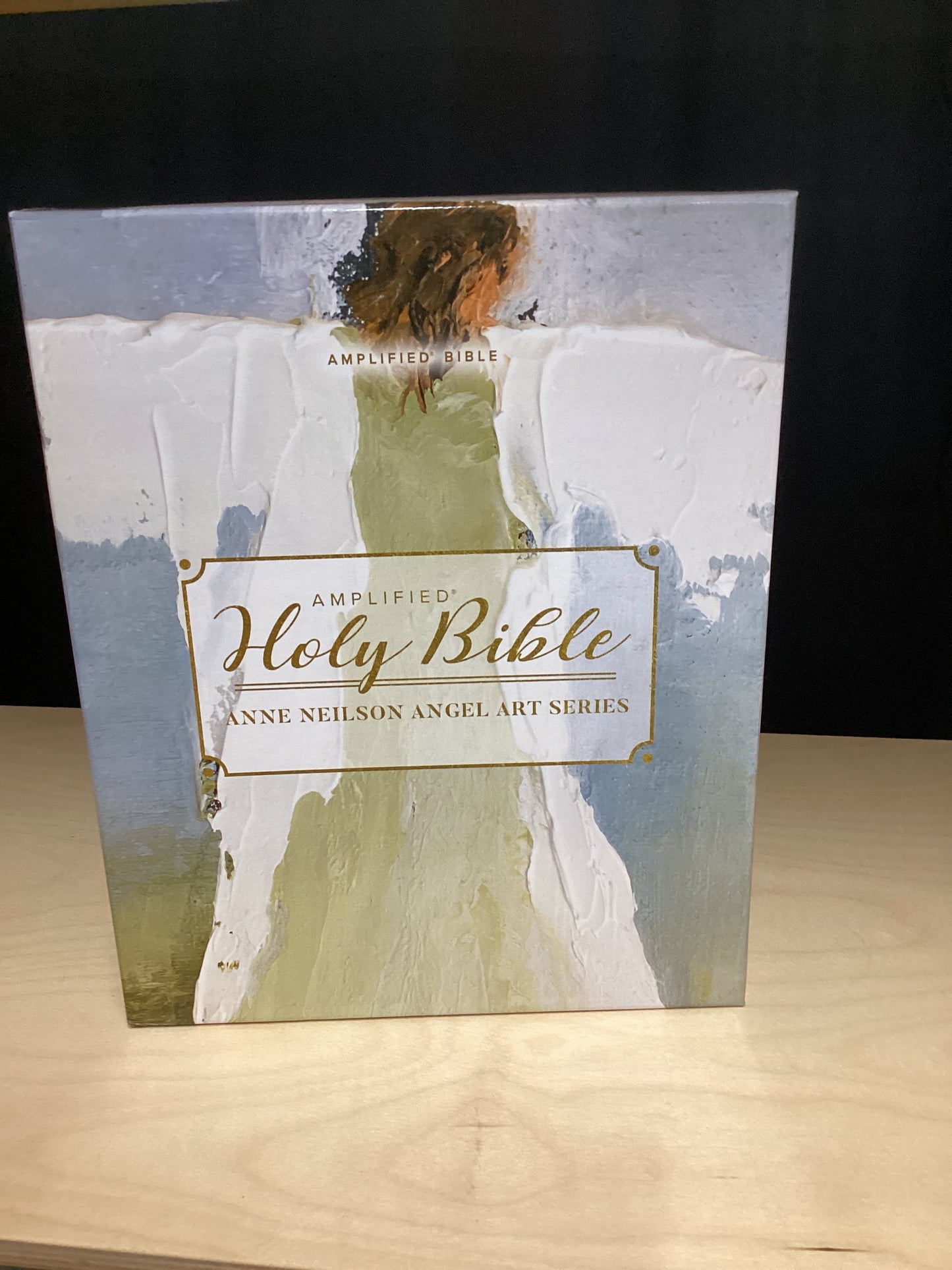 ANNE NEILSON AMPLIFIED HOLY BIBLE