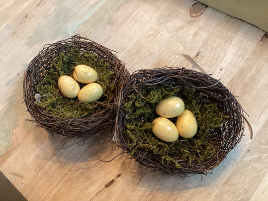 Moss and Vine Bird Nest w/Cream Eggs