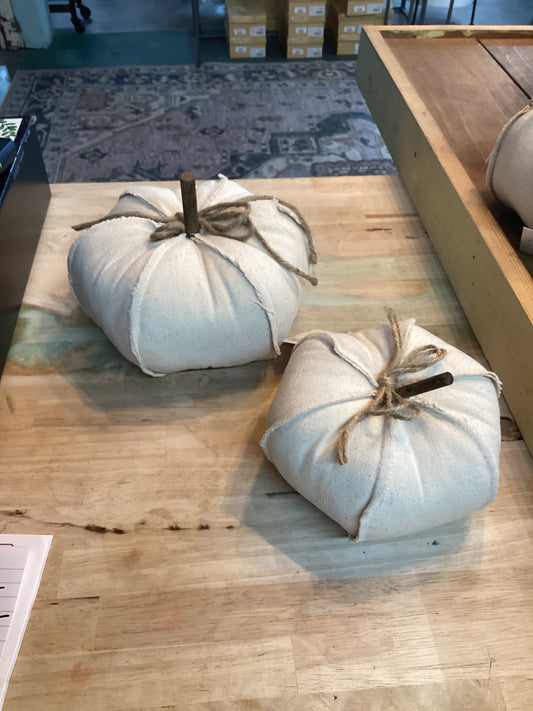 Small Ivory Pumpkins w/Stem