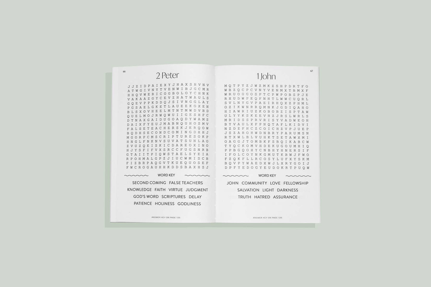 Paige Tate Christian Gifts - Bible Word Search for Adults