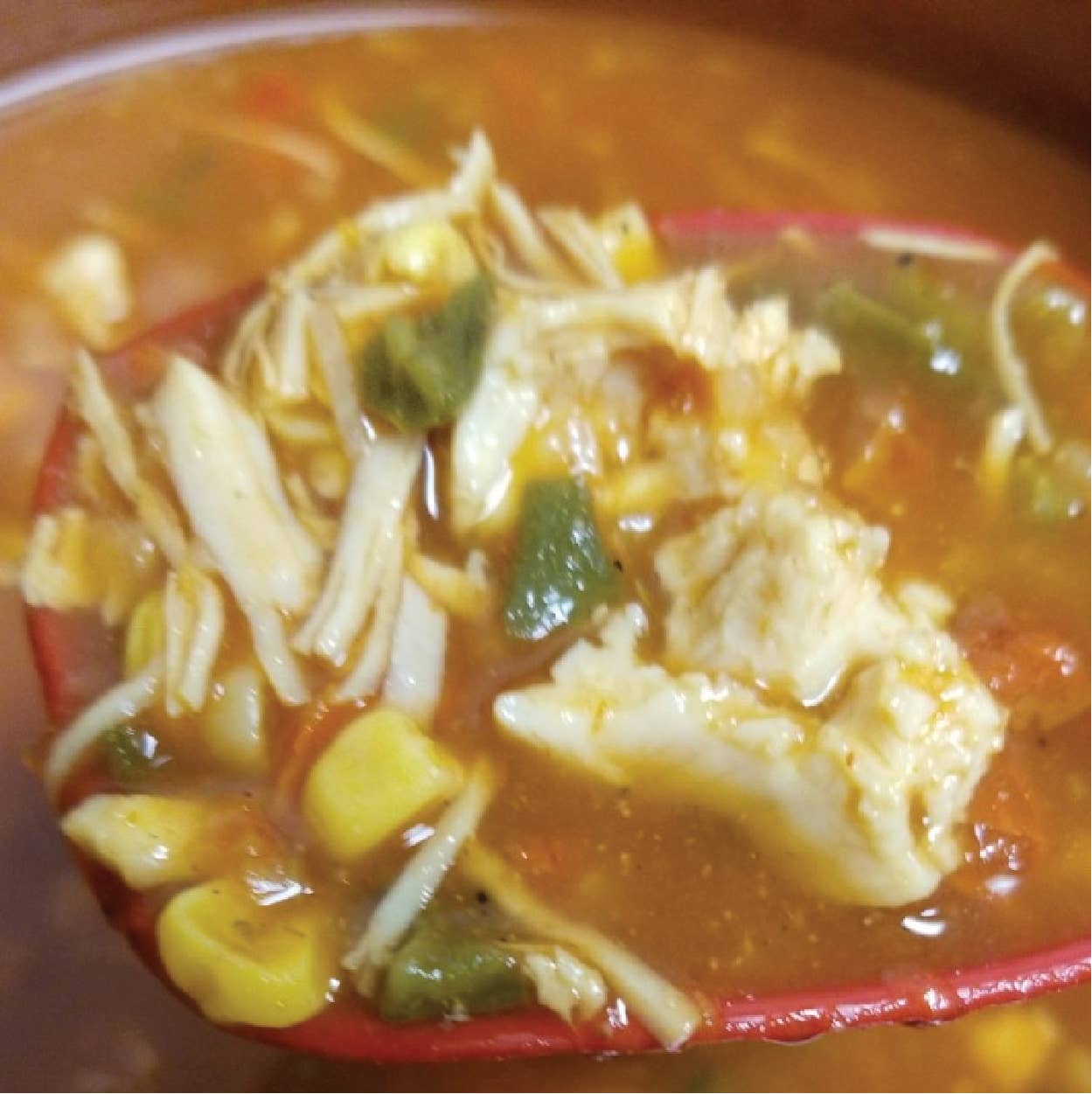 Tortilla Soup Mix